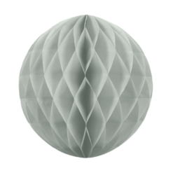 Honeycomb hopea, 20cm