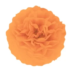 Pompom oranssi, 25cm