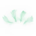 Lyhyet höyhenet mint.vihr 50kpl