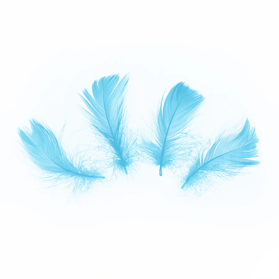 Lyhyet höyhenet sininen 50kpl