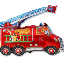 Muotofoliopallo -paloauto