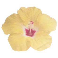 Tropical flower -muotolautasliinat 16kpl