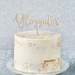 Ylioppilas-puinen kakkukyltti