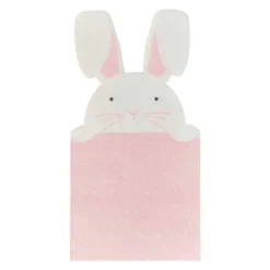 Muotolautasliina -Pupu 16kpl