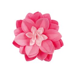 Vohvelikukka water lily pink