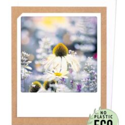 Kukkaniitty-2-os kortti