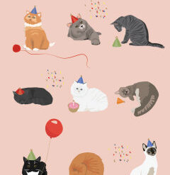 Have a purrfect birthday kissat- 2-os folioitu kortti