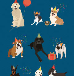 Have the happiest birthday koirat- 2-os folioitu kortti