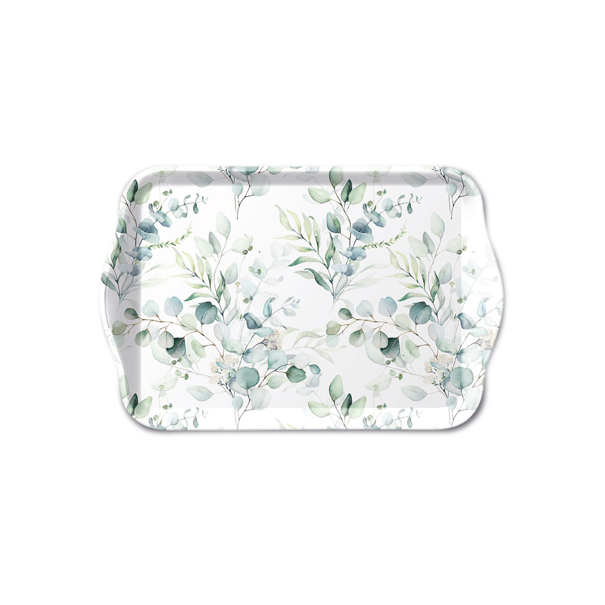 Eucalyptus -tarjotin