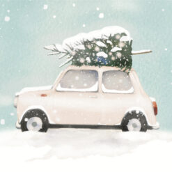 Kuusi minin katolla-2-os joulukortti