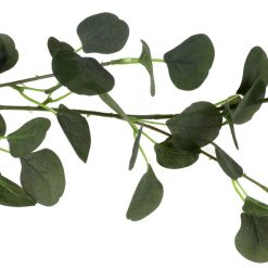 Köynnös eukalyptus 140cm