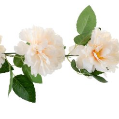 Köynnös pioni ivory 140cm