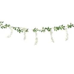Wisteria köynnös 1,7m