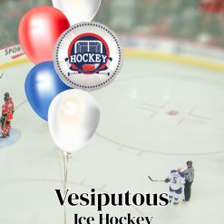 Vesiputous Ice hockey Jääkiekko
